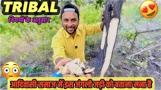 बैगा समाज की गुप्त जड़ी-बूटी 🌿 | Tribal People Never Share This🧐|