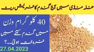 wheat price today in punjab🔥|sarson cotton monji bajra rate gala mandi AriFwala |گندم کا ریٹ 2023|