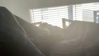 2 cats btw her name is chibi show her respect 