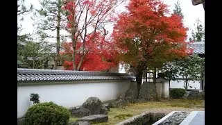 重森三玲　晚年的傑作　漢陽寺庭院
