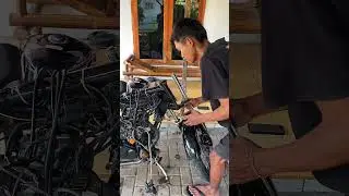 #tigerrevo