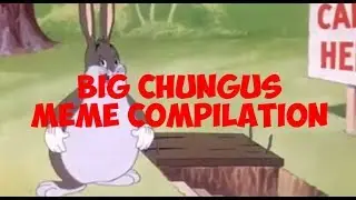 BIG CHUNGUS MEME COMPILATION