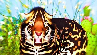 KITTY KEEF'S RETURN | Ecos La Brea