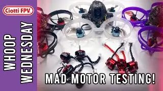 Mad Motor Testing 0702, 0603, 0802 &mdash; Мужская сумка &mdash; Вопросы и ответы