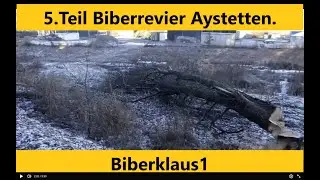 5.Teil. Aystetten im Kampfgegen den Castor fiber