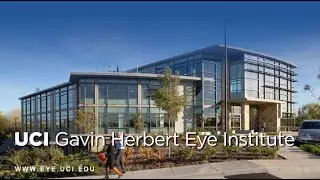 Low Vision Rehabilitation in partnership with AMD.org