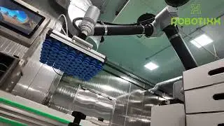 Робот-палетировщик Robotixx &mdash; автоматическая укладка коробок на паллеты