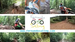 Trilha com Formigos da Trilha - Santa Rosa - RS - 03/01/2026