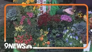 Tricks to fall planting season