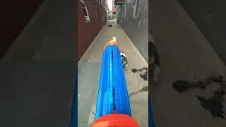 PITBULLS NEW TOY GUN😎🔥#toys#doglovers#youtubeshorts#viral#pitbull#dog#dogtoy#trending#dogtraining