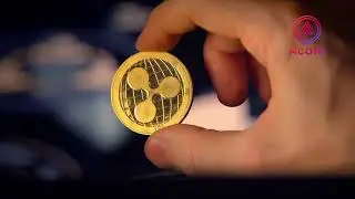 Acala Network