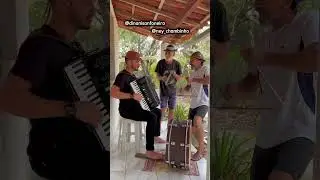 No chililique do forr&oacute; no sert&atilde;o do nordeste #nordestelindo #sanfona #shorts  #nordeste