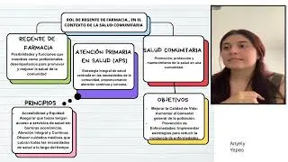 mapa conceptual video