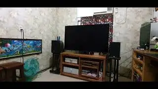 musical fidelity m6si500 VS proac response db1