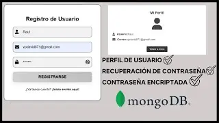 CÓMO HACER UN LOGIN FUNCIONAL EN HTML-CSS -JS Y PYTHON