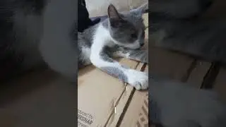 biar cantik, beberes dulu