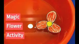 Kids Activity: Magic Flower Activity