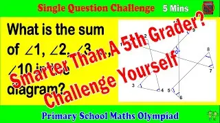 Primary School Math Olympiad - Single Question Challenge, 5 Minutes.