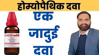 Pinus sylvestris q homeopathic medicine uses in hindi 