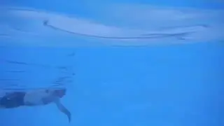 Sample of swim technique video analysis feedback