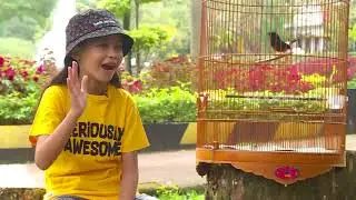 Kenalan Sama Si Peniru Suara Burung | SI OTAN (20/04/21)