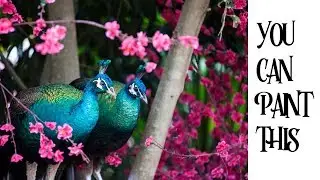Peacock Painting tutorial for Beginners step by step 🎨🐦 | TheArtSherpa
