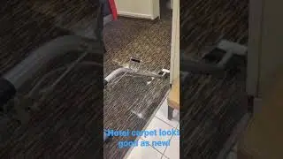 Hotel carpet cleaning