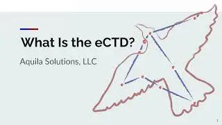 What Is the eCTD?