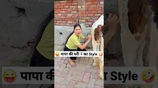 पापा की परी🧚&zwj;♀️का Style 😜🤪 Comedy Shorts #comedy #trending #funny #ytshort #shorts