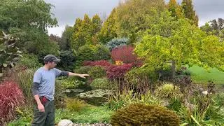 Welcome to John&rsquo;s Garden in Autumn at Ashwood Nurseries