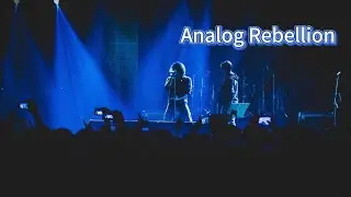 Analog Rebellion: New Wave Anthem Against the Digital Age