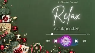 Christmas Carousel (SPINNING VISUALS) | IRL w/ Yummie