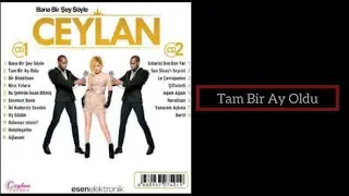 Ceylan - Tam Bir Ay Oldu - 2014
