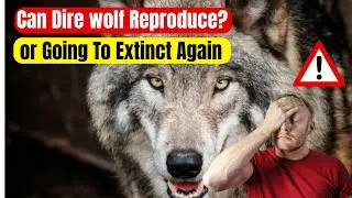 Can Genetically Engineered Dire Wolves Reproduce? | The Truth About De-Extinction