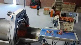 Carrot washing line