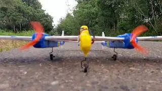 MINIMUM RC || PESAWAT TEMPUR P-38 || KOMBINASI GABUS & STYROFOAM KOTAK NASI ||