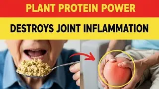 Top 3 Plant-Based Proteins for Arthritis Relief Soothe Pain & Inflammation Naturally!