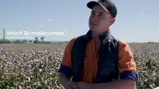 Cotton Farming in QLD - 30 Seconds