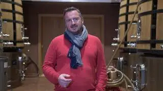 JTVigneVinBio21 - Les vins sans sulfites ajout&eacute;s : quand on ma&icirc;trise, c'est bon !
