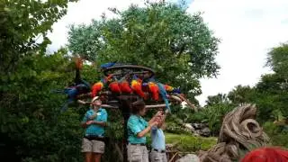 Flights of wonder- Animal Kingdom, Disney World