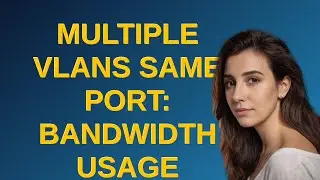 Multiple VLANs Same Port: Bandwidth Usage closed