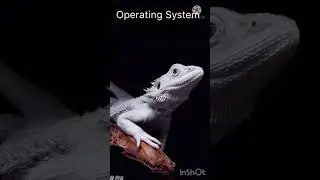 Vivo iQoo8 pro مواصفات. #short