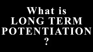 What Is Long-Term Potentiation LTP? The Hidden Brain Mechanism That Turns Experiences Into Memories