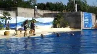 Madrid. ZOO