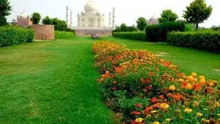 Mehtab Bagh Agra | Taj Mahal Views #Tajmahal #India #Agra #mehtabbagh #Tourism #Travel #Vlog