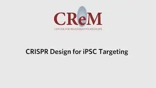 CRISPR Design for iPSC Targeting