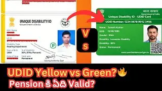 UDID Yellow vs Green Card ⚠️ Which Pension is Valid? | SADAREM Telugu #disability#udid#apgovt