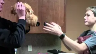 Indirect TV Commercial