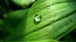 Photoshop cs6 Tutorial : how to make a water drop effects