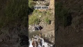 Urgam valley | kalpeshwar mahadev uttrakhand....#travel #kalpeshwar #urgam #uttarakhand #offroad